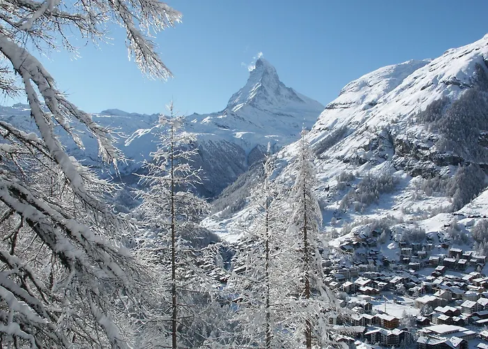 Alpenhotel Fleurs De Zermatt