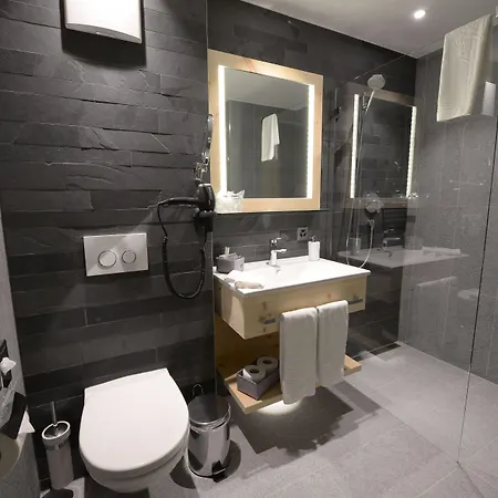 فندق ألبينهوتيل فلورز دو زيرمات