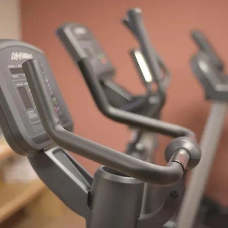 فندق ألبينهوتيل فلورز دو 4*