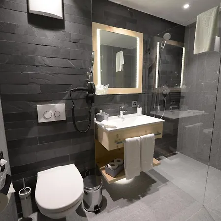 ألبينهوتيل فلورز دو 4*