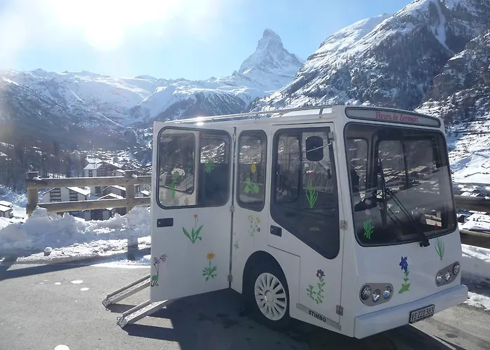 Hotel Alpenhotel Fleurs De 4*